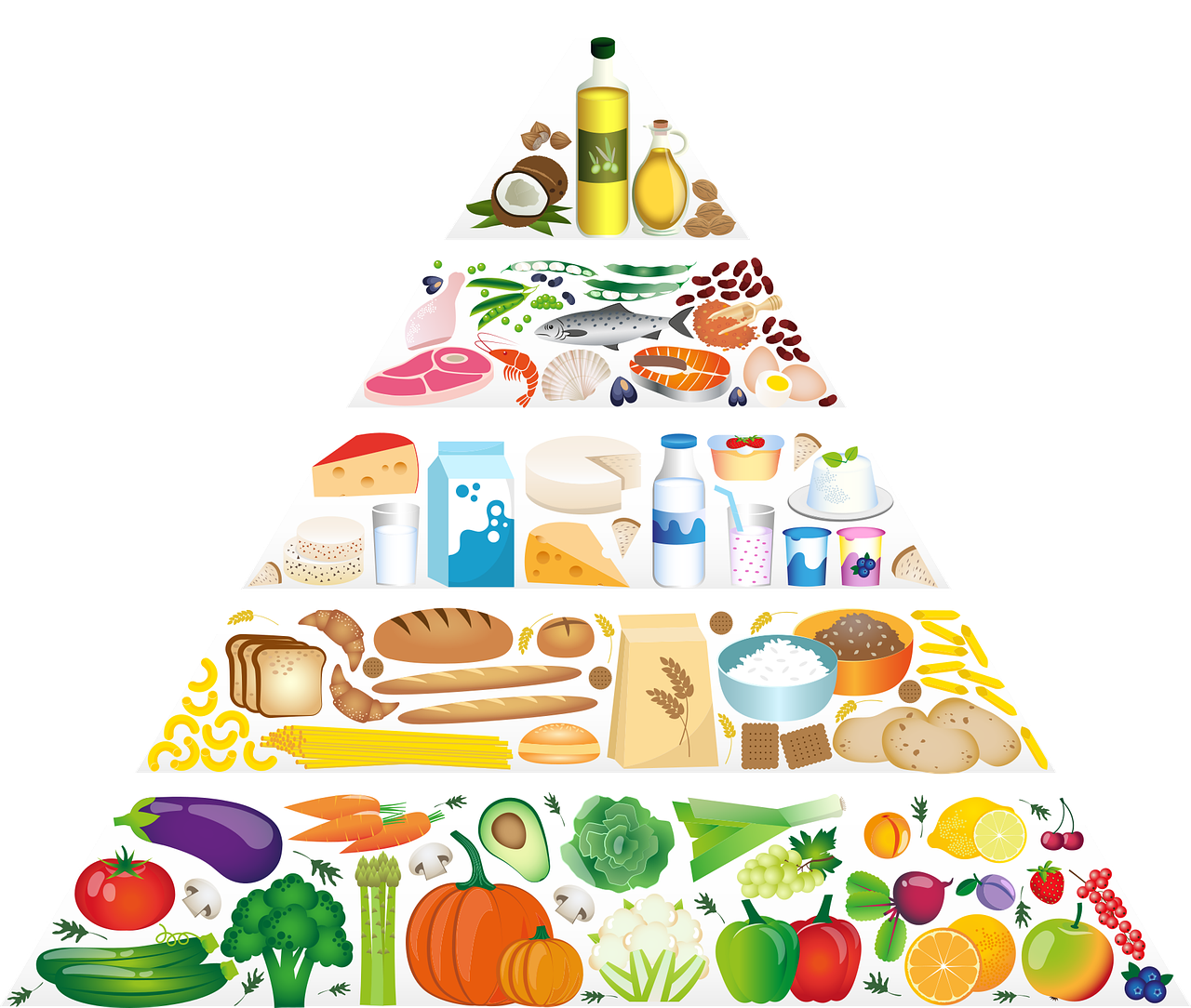 piramide alimentacion.png